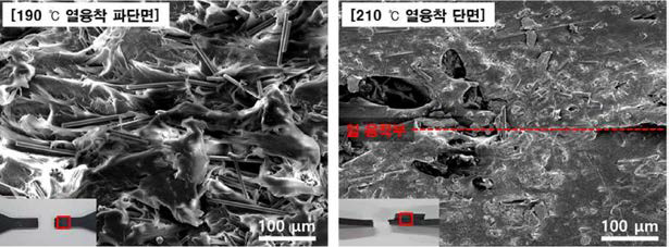 190°C 열융착 파단면과 210℃ 열융착 단면 FE-SEM micrograph