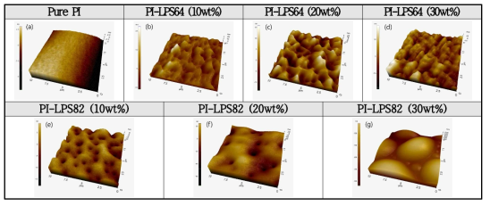 PI-LPS 복합소재의 3D-AFM 이미지