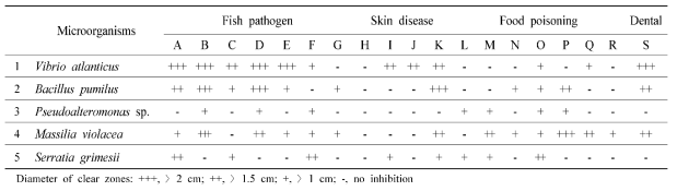 Isolated microorganisms with antimicrobial activity against diverse pathogens
