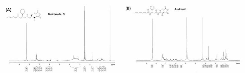 Identification of structure of moiramide B(A) and andrimid(B) with 1H-NRR