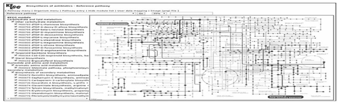 Analysis of KEGG Pathway Database (http://www.genome.jp/kegg/pathway.html)