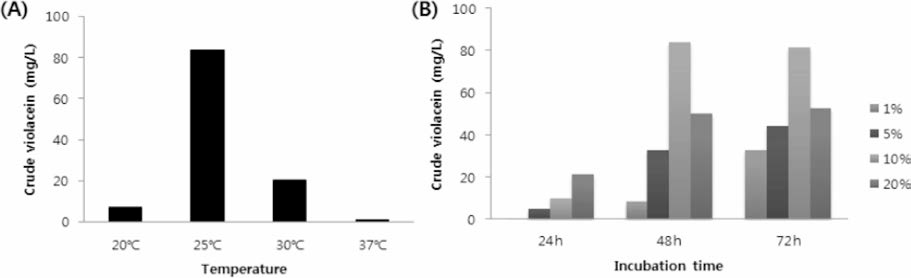 Productivity of violacein from Massilia sp. NB-5 according to culture temperature (A) and seed volume (B)