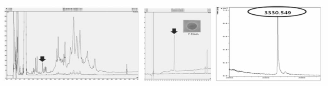 HPLC purification and MS analysis of antimicrobial peptide from hemocyte of hard-shelled mussel