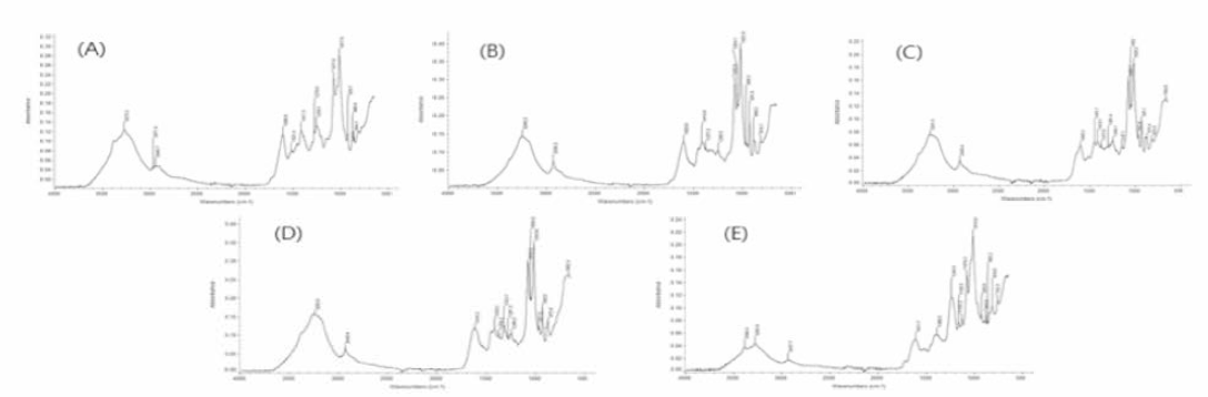 FT-IR spectrum analysis of Ecklonia cava (A), Saccharina japonic a (B), Eisenia bicyclis (C), Sargassum fulvellum (D), Sargassum fusiforme (E)