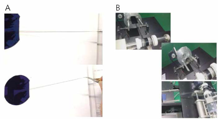 Spinnable carbon nanotube forest를 꼬는 공정. (A) Spinnable carbon nanotube forest로부터 carbon nanotube sheet를 뽑는 과정. (B) Spinnable carbon nanotube forest로부터 carbon nanotube sheet를 바로 꼬아 섬유로 만드는 장치