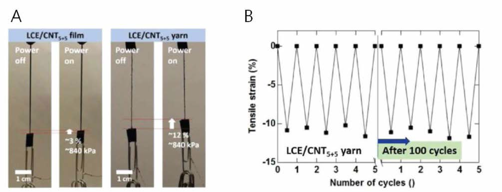 (A) 전열로 LCE/CNT sheet 필름과 LCE/CNT sheet 섬유를 구동함. (B) 500번의 반복운동에도 성능을 유지함