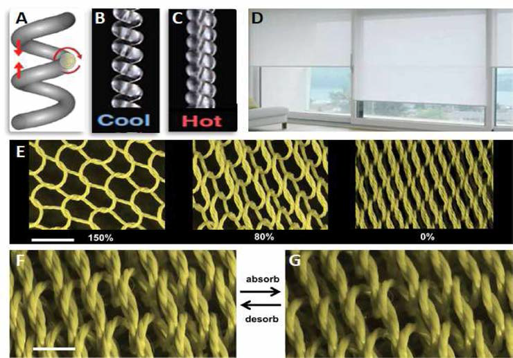 (A) 꼬인 섬유의 풀림에 의한 수축원리 모식도. (B) 낮은 온도에서 나일론섬유의 팽창. (C) 높은 온도에서 나일론 섬유의 수축. (D) 블라인드 사진. (E) 습도 감응에 구조 변화(좌: 150%，중: 80%，우: 0% 수축). (F) 공 기 중의 습도가 높아지면 기공이 커지고 낮아지면 기공이 작아지는 사진. (A 출처 : Science 343，868 (2014)，E, F 출처 : Science 365，150 (2019))