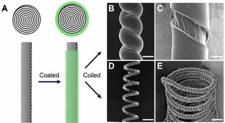 섬유를 꼬아 만든 core-shell 구조의 인공근육(Science 365，150 (2019) Figure 1.). (A) 섬유를 꼬아 만든 꼬인 섬유와 환경에 감응하여 부피 변화를 유도할 수 있는 재료를 섬유표면에 코팅한 모식도. (B) 표면이 코팅 된 섬유를 더 꼬아 만든 코일 구조(coiled-)의 SEM 사진. (C) 섬유 표면에 1:25 비율로 코팅된 정도를 알 수 있는 SEM 사진. (D) 꼬인 섬유를 만드렐코 일(mandrel-coiled twisted)구조로 만든 섬유 SEM 사진. (E) 코일구조 섬유 를 길게 만든 SEM 사진