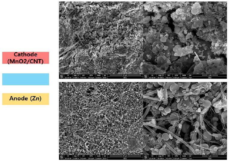 부식 테스트 후 CNT paper/α-MnO2-Zinc/MoS2 셀의 형상