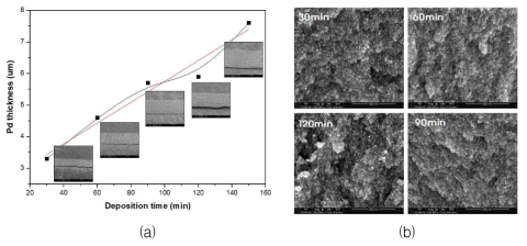 (a)시간에 따른 Pd 박막의 두께와 (b) 표면 SEM 이미지