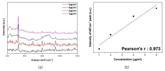 Busulfan 농도에 따른 (a)라만 스펙트럼 및 (b) 농도와 신호강도의 관계