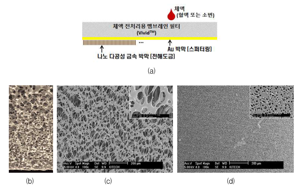 (a)전처리 일체형 센서 기판의 개념 및 VividTM 필터의 (b)단면, (c)윗면, (d)뒷면 SEM 이미지