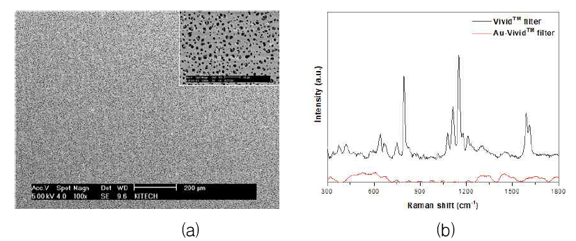 Au 스퍼터링된 VividTM 필터의 뒷면 (a)SEM 이미지와 (b)라만 스펙트럼