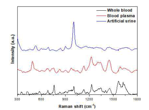 전혈, 혈장, 인공 소변의 표면증강라만산란 스펙트럼