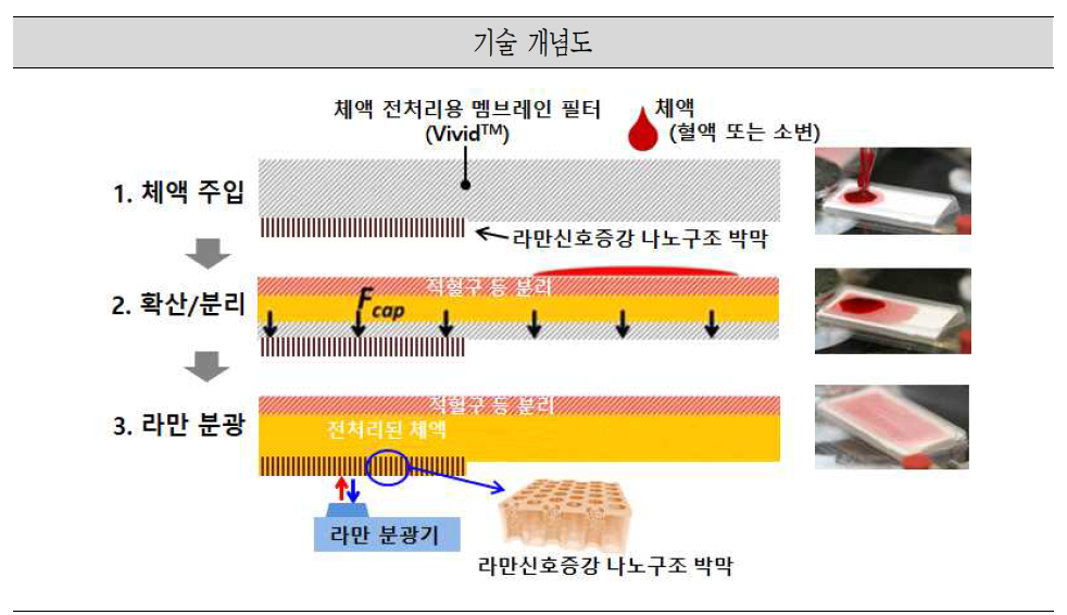 전처리용 멤브레인 필터와 라만분광 증폭 금속 박막이 결합된 센서 기판