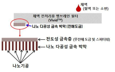 체액 전처리 일체형 센서 기판의 개념도