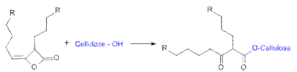 AKD를 이용한 셀룰로오스 소수화