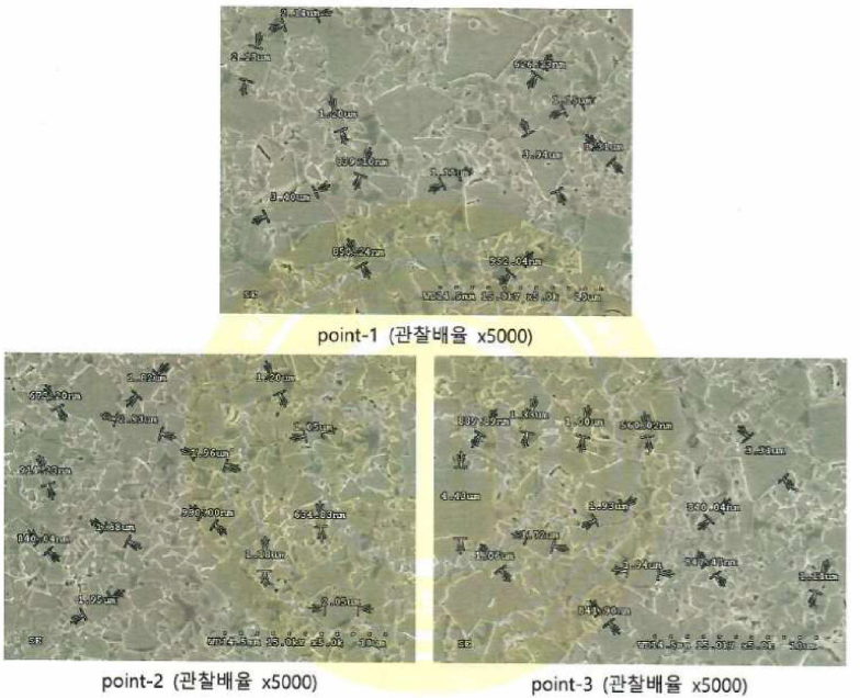 Sample A의 SEM 결과