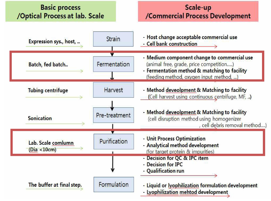 공정 개발을 위한 전체 전략(붉은색 박스가 본 과제 단계임)