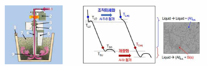 Gas bubbling 기반 탈가스 공정 및 열분석 기반 개량화 측정 예시