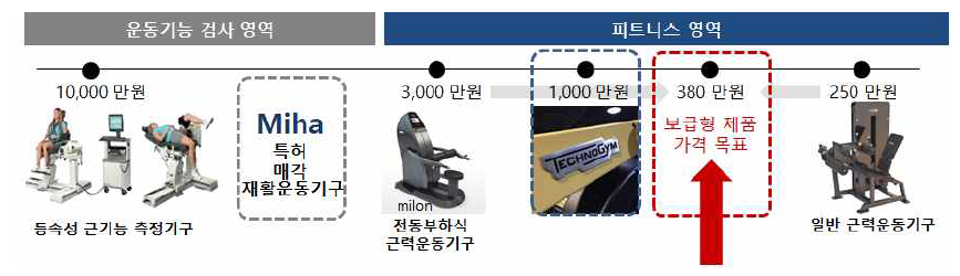 시장현황 및 보급형 제품개발 전략