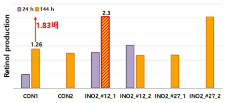 INO2 유전자 발현량 증가를 통한 바이오레티놀 생산량 증가 확인