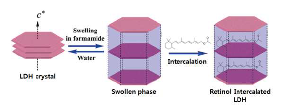 레티놀 유래 유도체 안정화 기술 개발