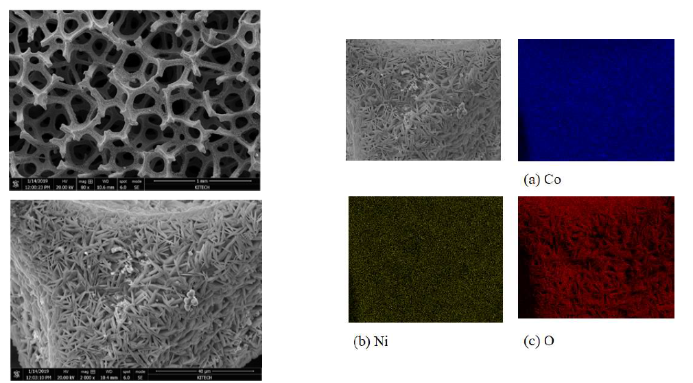 니켈폼 기반 다공성 촉매 소재 미세조직 및 EDS mapping 이미지