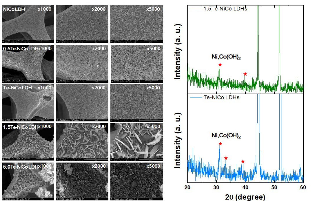 Te-doped 니켈폼 기반 다공성 촉매 소재 미세조직 및 X선 회절 데이터