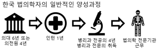 한국에서 대부분의 법의학자들이 거치는 교육 및 수련과정