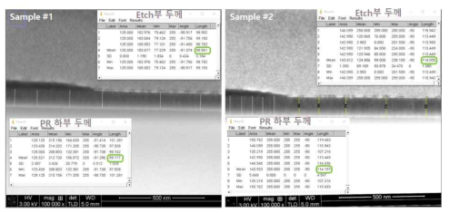 TiN 박막의 BOE 습식식각속도 측정을 위한 단면 분석 결과