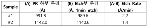 TiN 박막의 BOE 습식식각속도 측정을 위한 단면 분석 결과