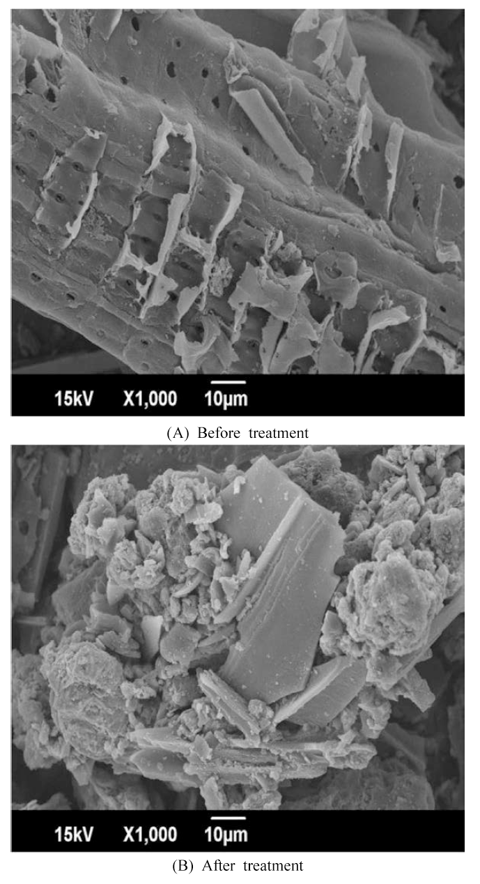Scanning electron micrograph image of absorbent before and after filtration by absorbent