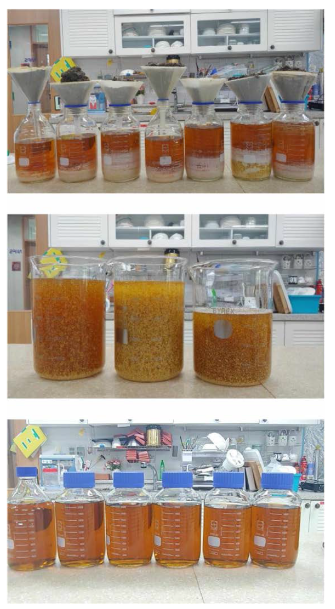 Appearance of processing stage on the liquid extracted using fish sauce processing residue by heating processing