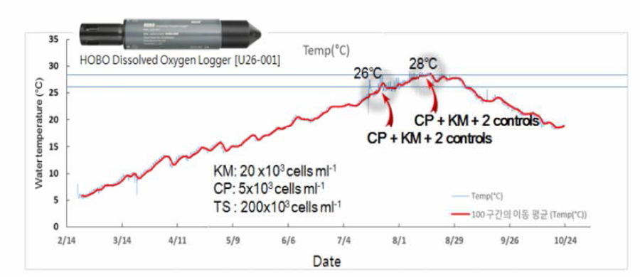 Real time temperature profile in the test abalone donor farm in 2018. The red arrow indicates the experiment day for each temperature