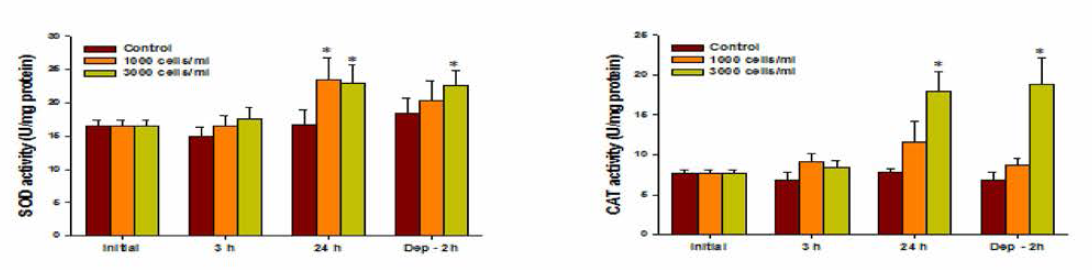 Changes in SOD, CAT content in red sea bream gills exposed to Cochlodinium polykrikoides