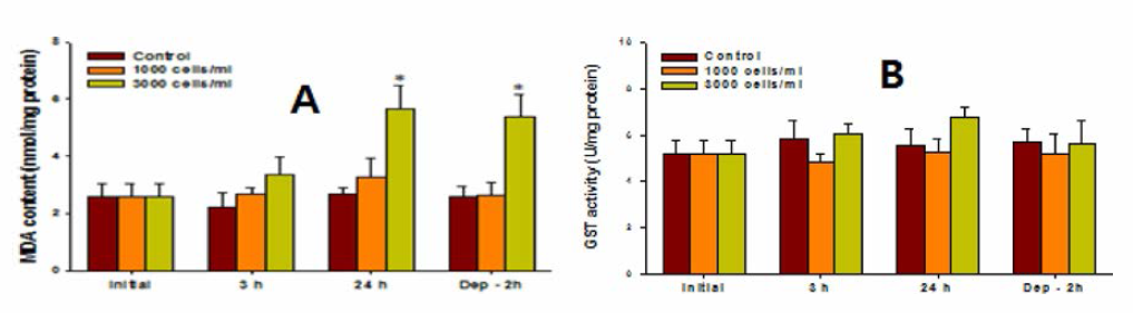 Changes m MDA (A), GST (B) content m red sea bream gills exposed to Cochlodinium polykrikoides