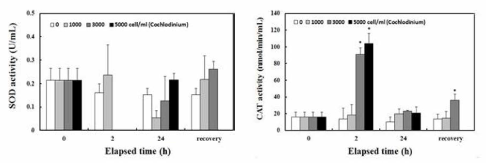 Changes in SOD, C A T content in red sea bream hemocytes exposed to Cochlodinium polykrikoides