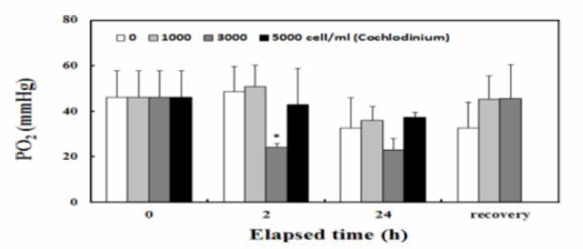 Effect of harmful alga Cochlodinium polykrikoides deasities on the red seabream damage in terms of hemocyte component and partial pressures of oxygen. * Statistical difference at p<0.05