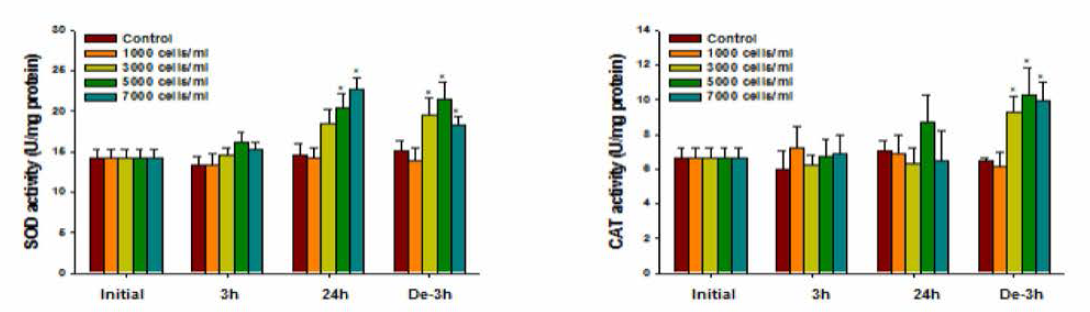 Changes in ROS and CAT contents in red sea bream gills exposed to Karenia mikimotoi