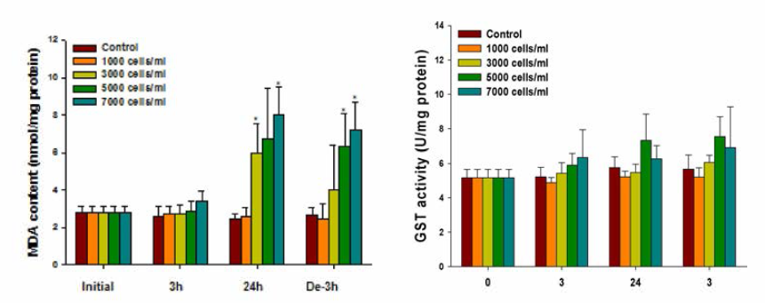 Changes in MDA content m red sea bream gills exposed to Karenia mikimotoi