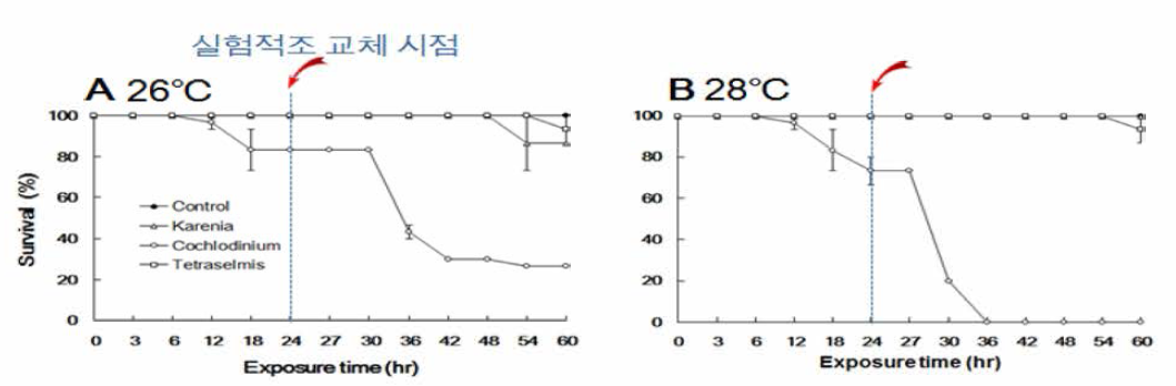 Temperature-dependent survival of adult Haliotis discus hannai in the test chambers (80L, test solution 30 L) carrying densities of algae and algal free control: two for harmful algae Karenia mikimotoi at 2x104 cells/mL (triangle) and Cochlodinium polykrikoides at 5x103 cells/mL (vacant circle) and one for harmless alga Tetraselmis suecica at 2xl105 cells/mL (rectangle). Control indicated by solid circle is alga-free fresh seawater containing corresponding concentration of f/2 medium as a vehicle. Algal concentration of T. suecica, 2x105 cells/mL, is equivalent to that of K. mikimotoi, 2x104 cells/mL in cell biomass calculated by total organic carbon (TOC). Test temperatures: A for 28°C during temperature increasing; B for 28°C during decreasing. Symbols of B are as in A