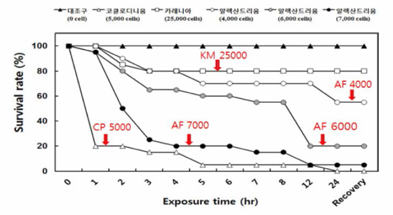 Survival of red seabream in the test chambers (80 L, test solution 50 L) carrying densities of algae and algal free control: three for harmful algae Karenia mikimotoi at 2x104 cells/mL (rectangle) and Cochlodinium polykrikoides at 5x103 cells/mL (vacant triangle) and Alexandrium affine at 4x103 , 6x103, 7x103 cells/mL (circle). Control indicated by solid circle is alga-free fresh seawater containing corresponding concentration of f/2 medium as a vehicle