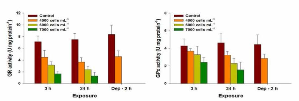 Changes in glutathione (GR , GPx) content in red seabream gills exposed to Alexandrium affine