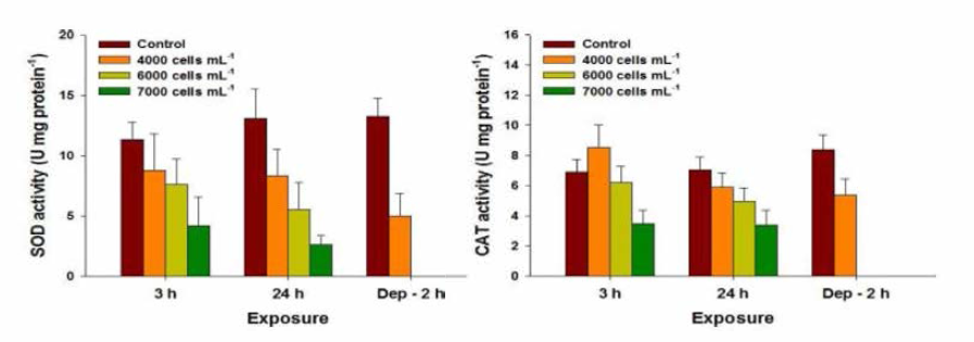 Changes m SOD and CAT contents in red seabream gills exposed to Alexandrium affine