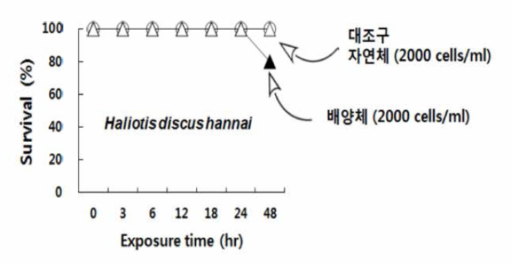 Survivals of abalone Haliotis discus hannai exposed to cultured and wild 2,000 ccells/mL of Cochlodinium polykrikoides for 48 hours