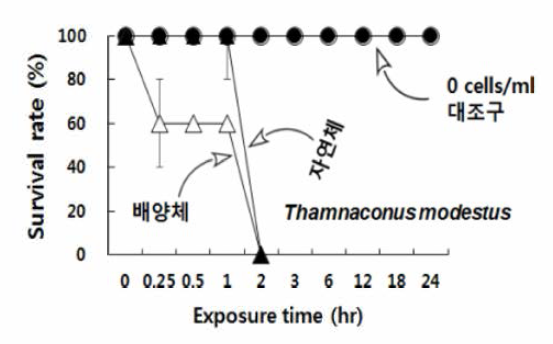 Survivals of fish Thamnaconus modestus exposed to cultured and wild 2,000 cells/mL of Cochlodinium polykrikoides at 26℃ for 24 hours