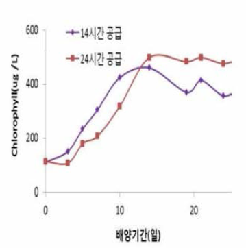 Growth curves of Karenia mikimotoi by different photo-cycles