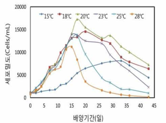 Growth curves of Alexandrium affine by different temperatures