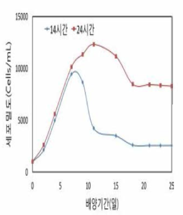 Growth curves of Alexandrium affine by different different photo-cycle